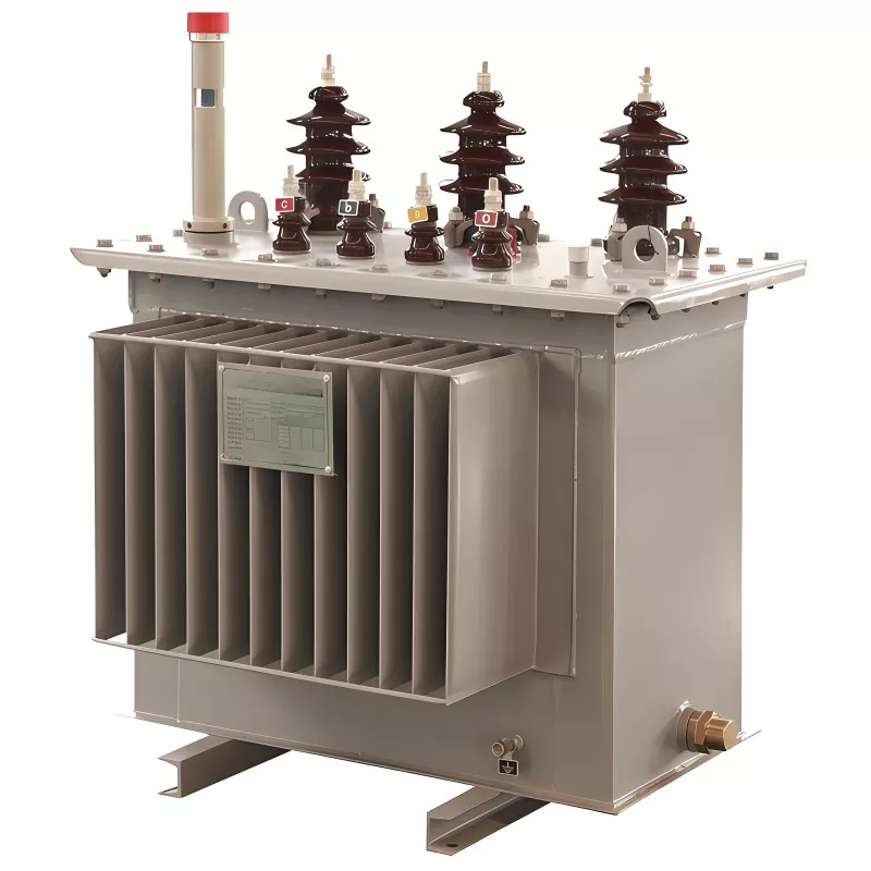 100KVA 11KV 오일 침지 변압기