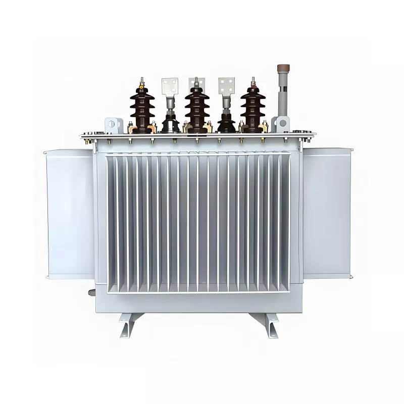 100KVA 20KV 삼상 오일 침수 변압기