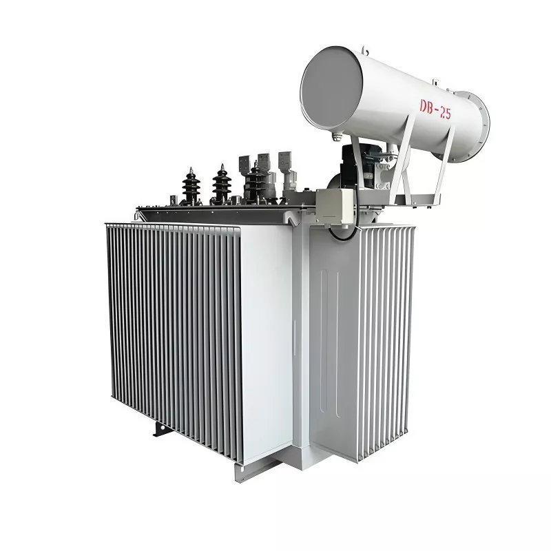 800KVA 35KV 삼상 오일 침수형 배전 변압기